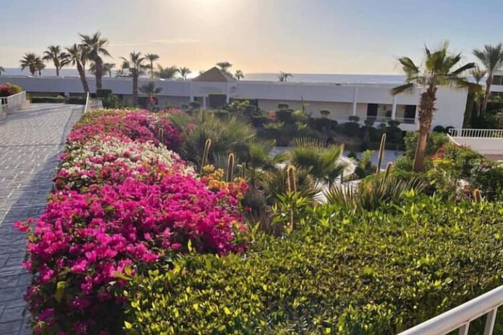 Hotel Exterior 117 of 126