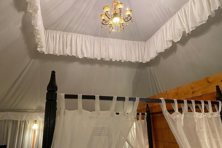 Room 49 of 81