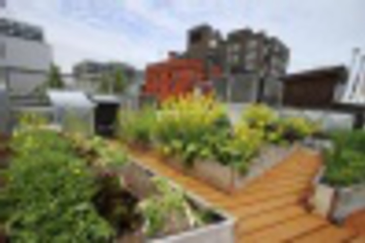 Terrace/Patio 40 of 420