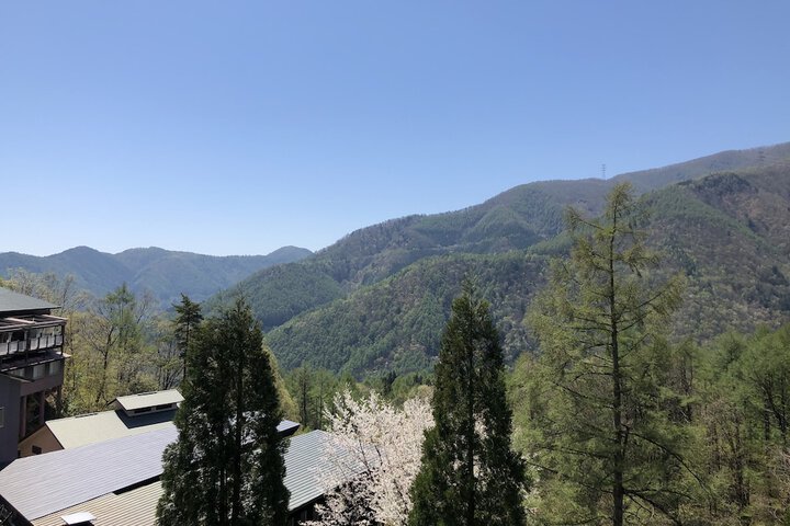 View from room