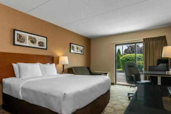 1 King Bed (2 of 4)