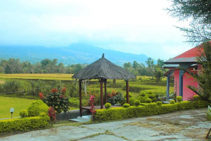 General 24 of 41