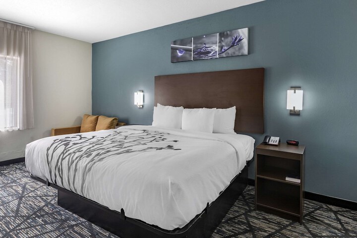 1 King Bed (6 of 8)
