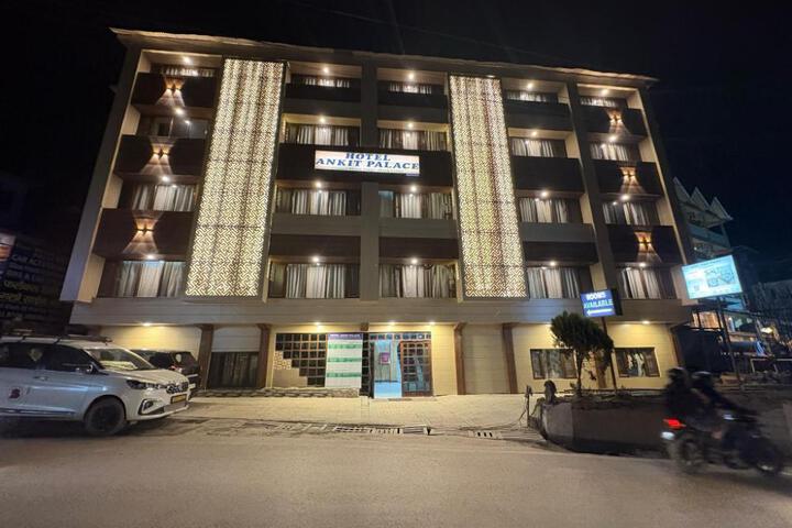 Hotel Ankit Palace