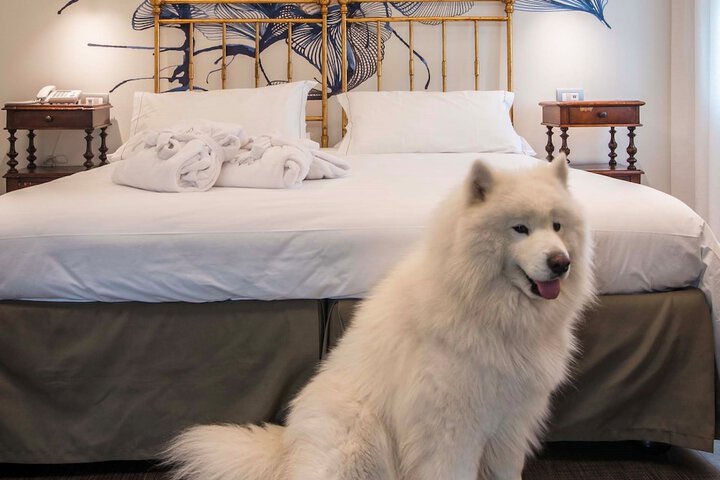 Pet Friendly 142 of 173