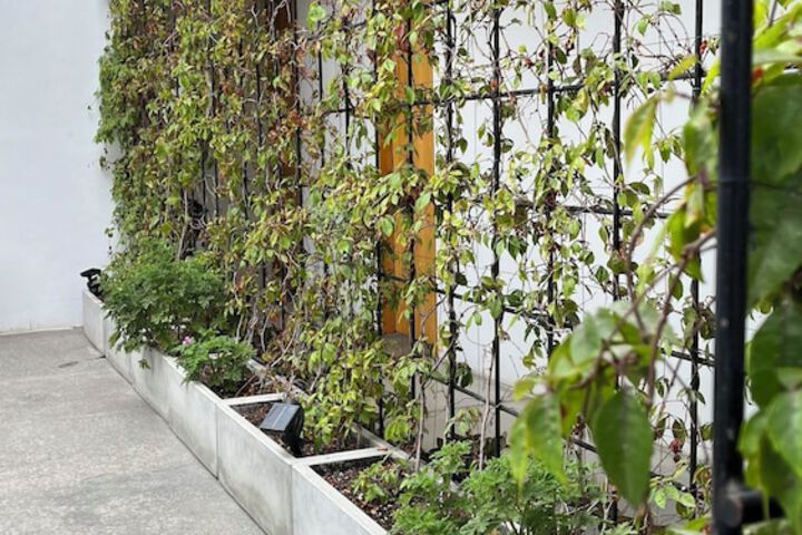 Terrace/Patio 53 of 80