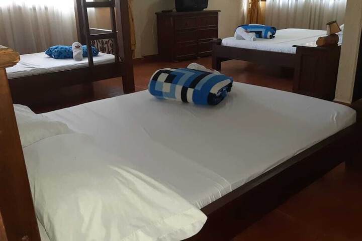 Room 15 of 178