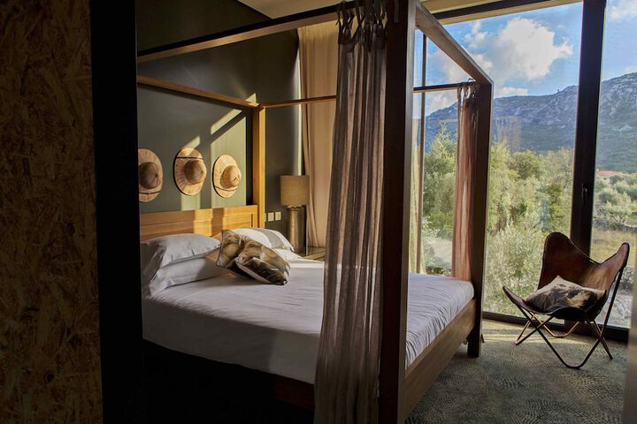 Cooking and Nature Emotional Hotel