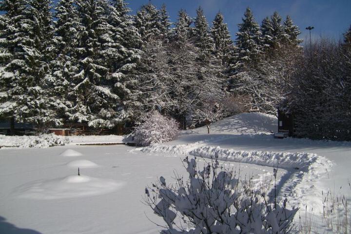 Photo 29