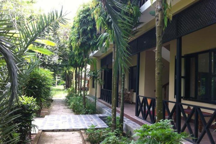 Photo 13