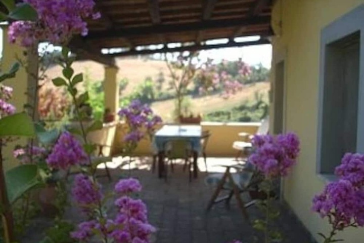 Terrace/Patio 14 of 15