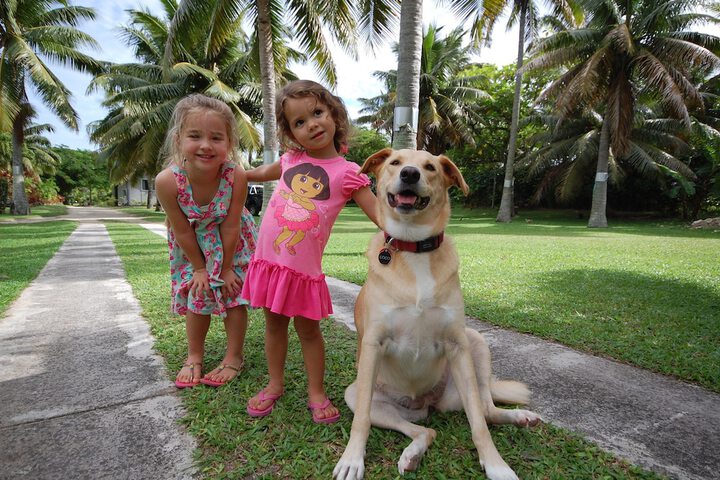 Pet Friendly 80 of 108