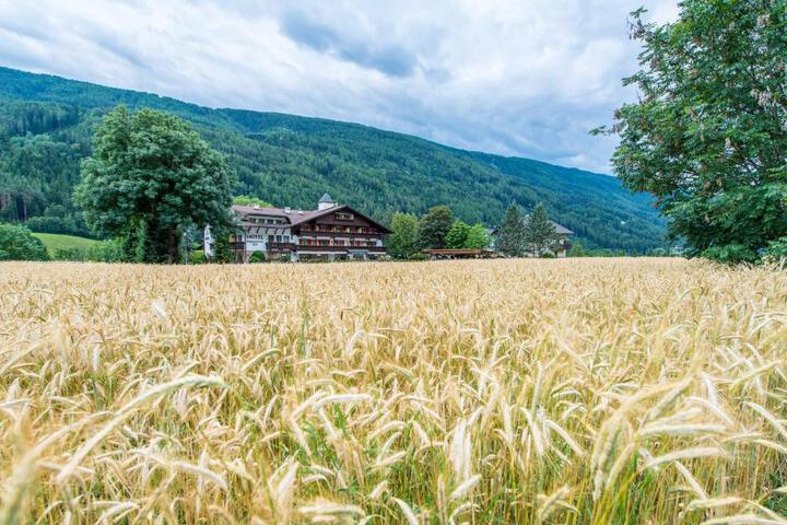 General 23 of 47