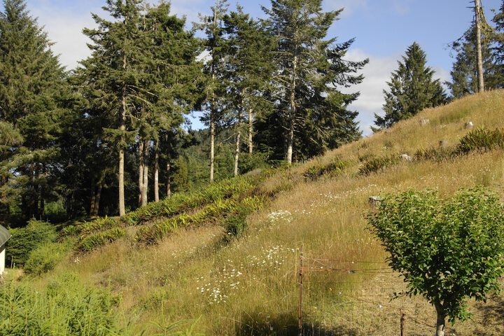 Terrace/Patio 27 of 28