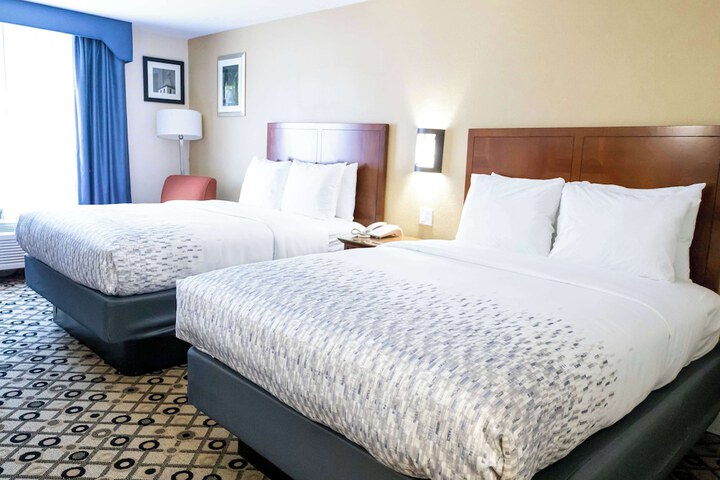 2 Queen Beds (4 of 5)