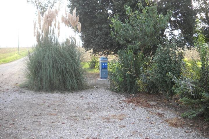 Property Grounds 43 of 57