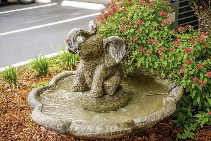Fountain