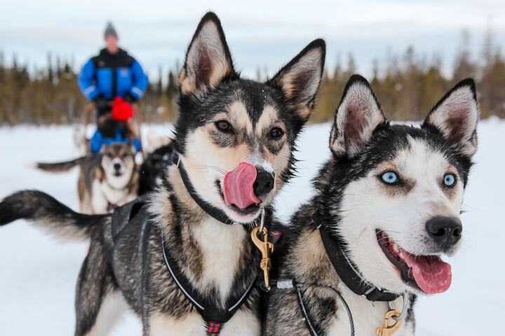 Sledding