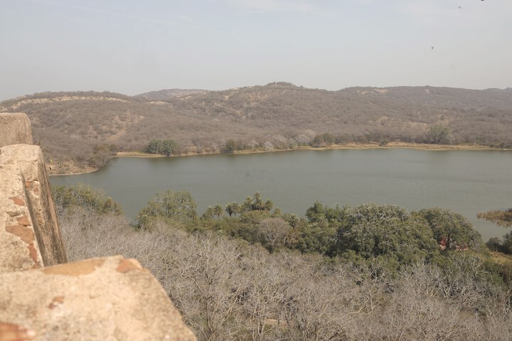 Lake view
