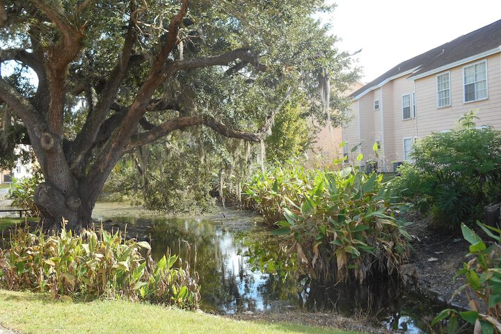 Property Grounds 41 of 49