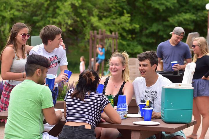 BBQ/picnic area