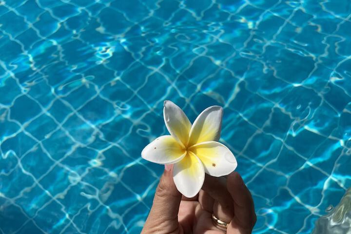 Pool 52 of 113