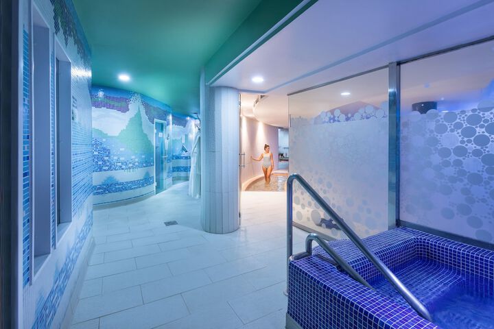 Spa and Wellness