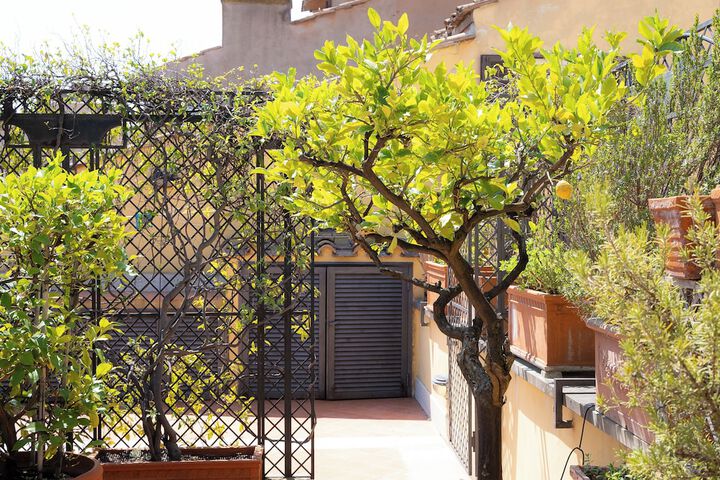 Terrace/Patio 41 of 68