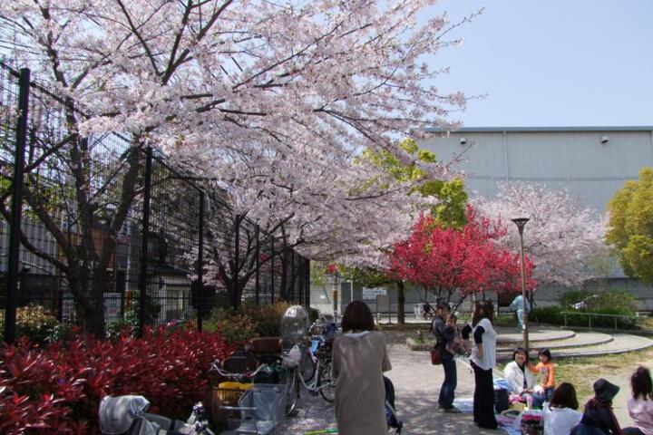 Photo 14