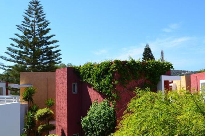 Photo 13