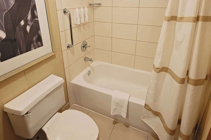 1 King Bed Accessible (10 of 16)