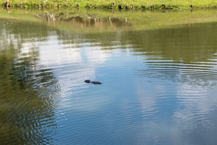 Land view from property