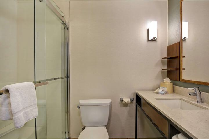 Bathroom shower