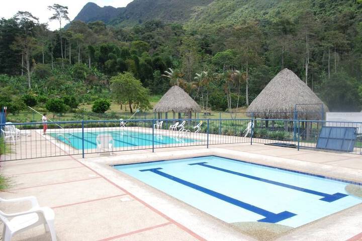 Pool 19 of 55
