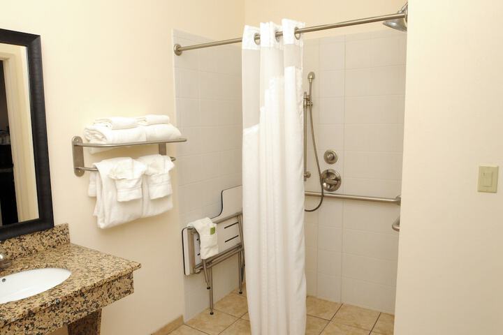 1 King Bed Accessible (10 of 16)