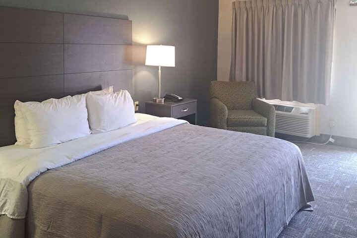 1 King Bed (6 of 14)