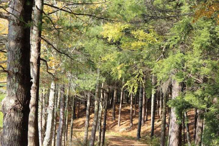 Outdoor Activities 26 of 73