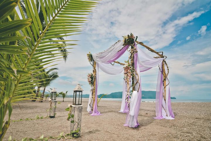 Wedding/Banquet 116 of 154