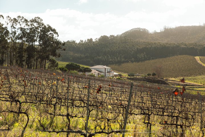 Quinta da Murnalha