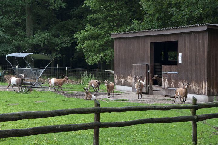 Children's play area - outdoor