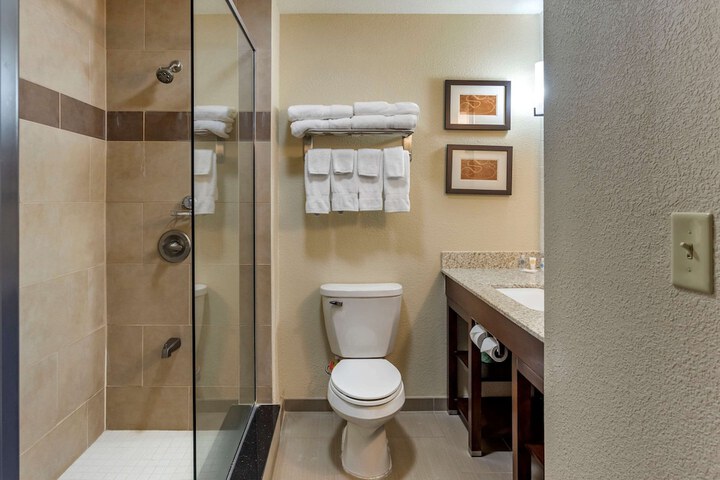 Suite King Bed Accessible (6 of 22)