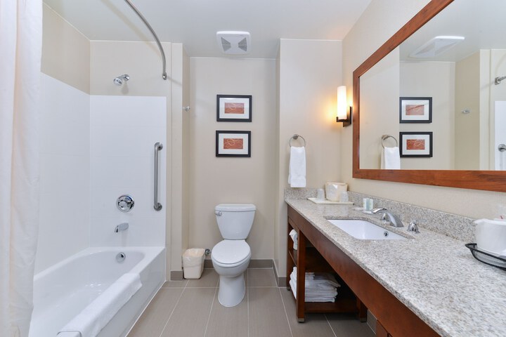 1 King Bed Suite (12 of 16)