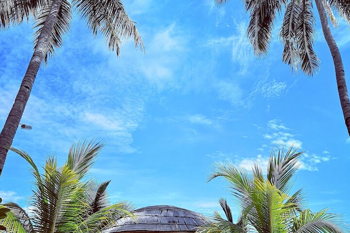 Beach 90 of 115