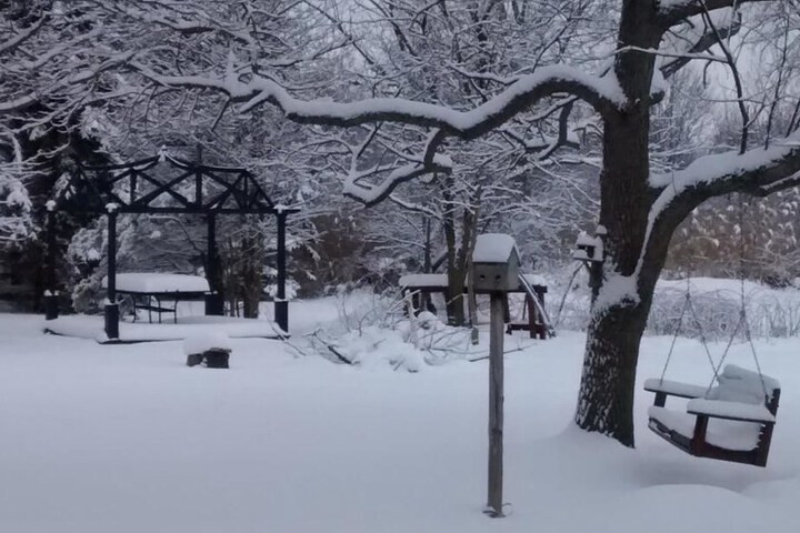 Property Grounds 38 of 46