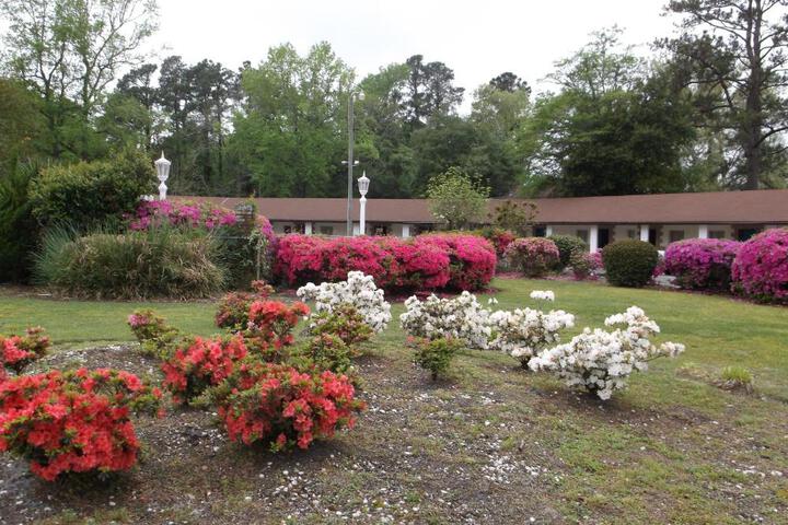 Azalea Inn & Suites