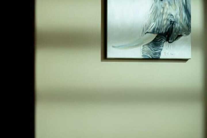 Room 22 of 53
