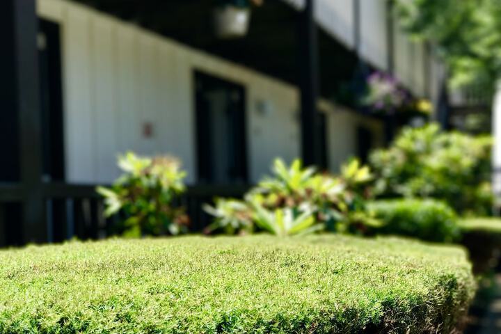 Property Grounds 22 of 27