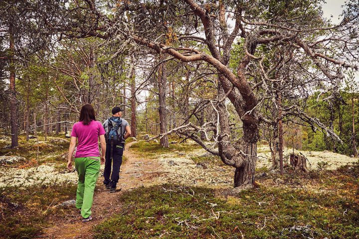 Outdoor Activities 18 of 36