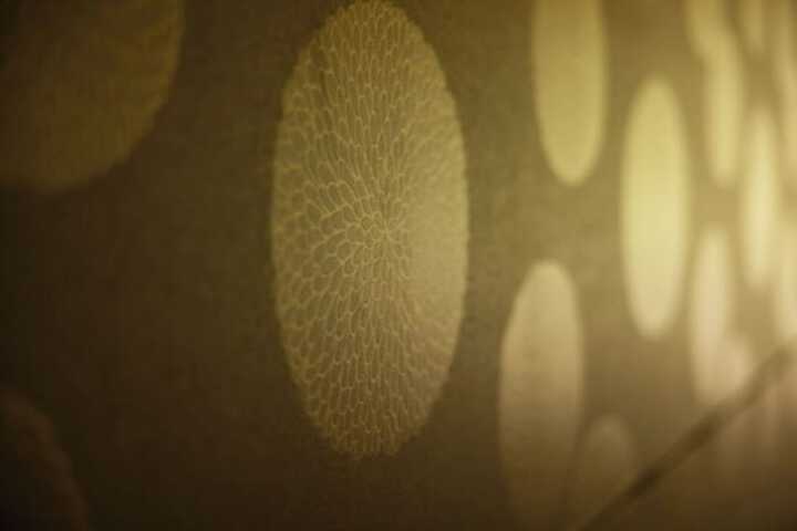 Room 24 of 107