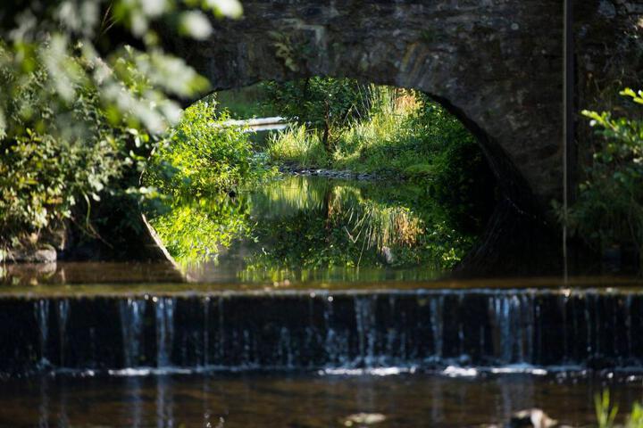 General 16 of 40
